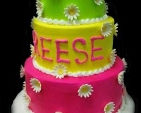 BYSP2228-Pink-yellow-and-green-tiered-cake-with-daisies