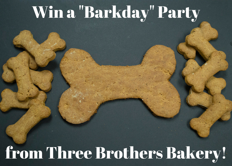Barkday contest