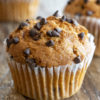 Chocolate Chip Muffin