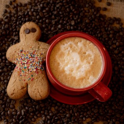 Gingy Brew Coffee