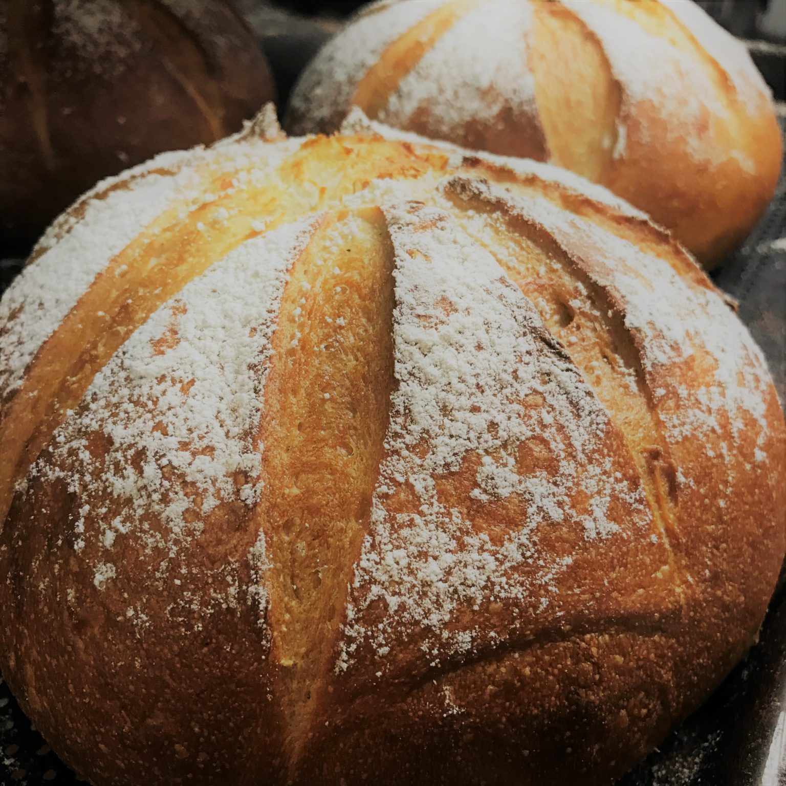 Sourdough Loaf (1 lb) Three Brothers Bakery