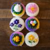 Easter Dip Decorated Cookies